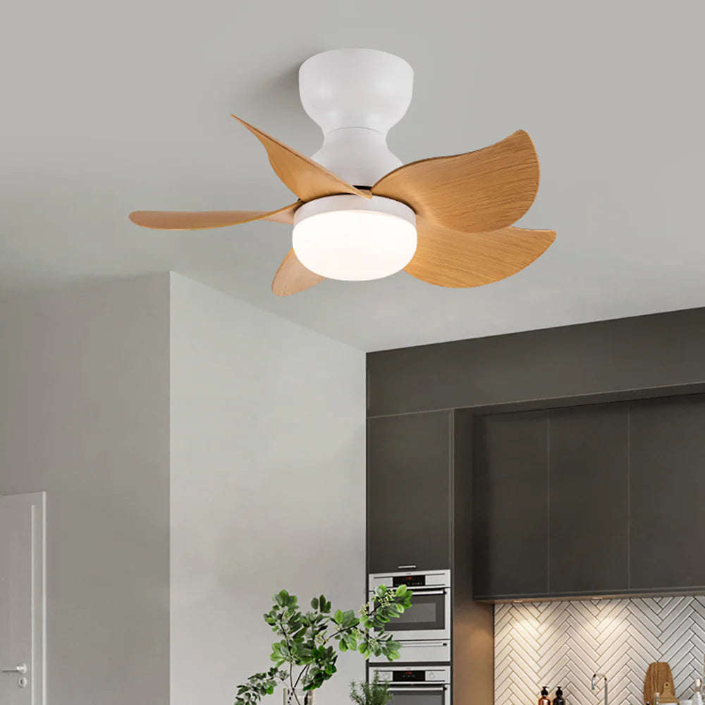 Small 5 Blades Ceiling Fan Lamp - Nuvé