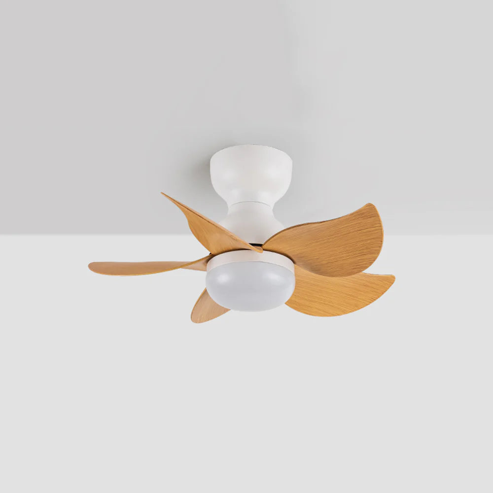 Small 5 Blades Ceiling Fan Lamp - Nuvé
