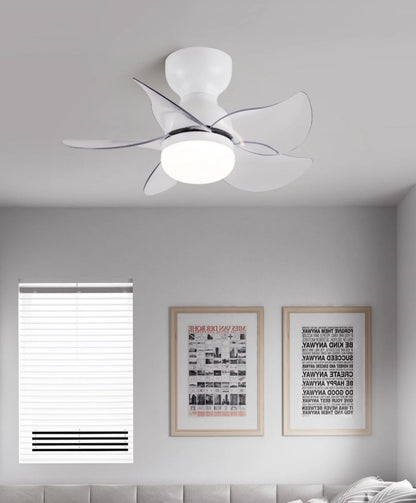 Small 5 Blades Ceiling Fan Lamp - Nuvé