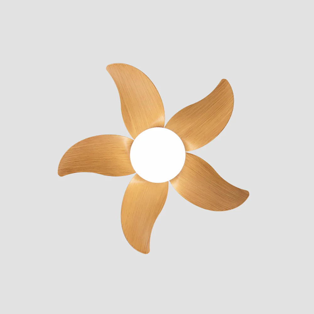 Small 5 Blades Ceiling Fan Lamp - Nuvé