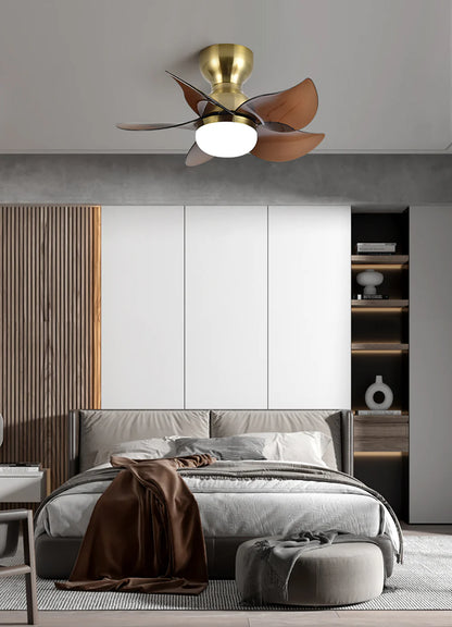 Small 5 Blades Ceiling Fan Lamp - Nuvé