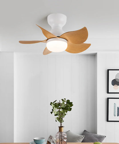 Small 5 Blades Ceiling Fan Lamp - Nuvé