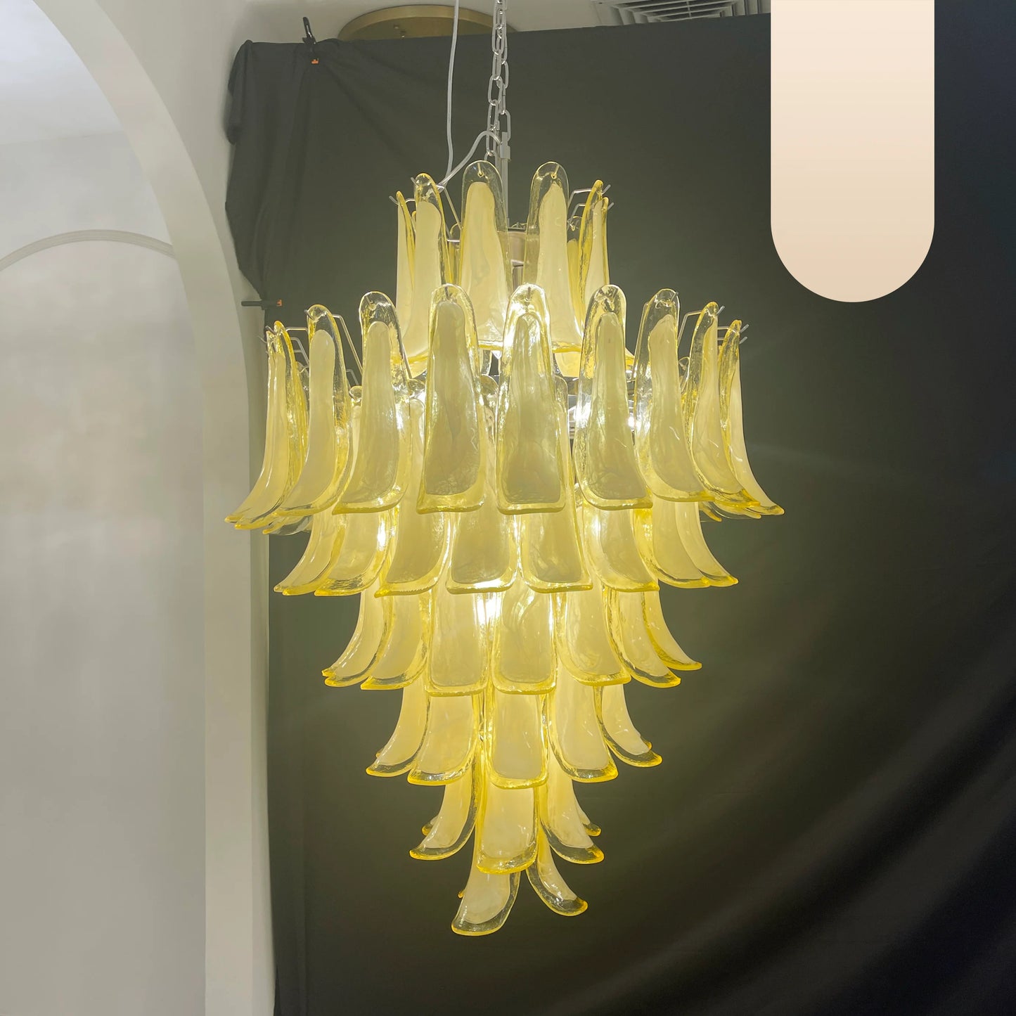 Stunning Murano Caramel Glass Petals Chandelier - Nuvé