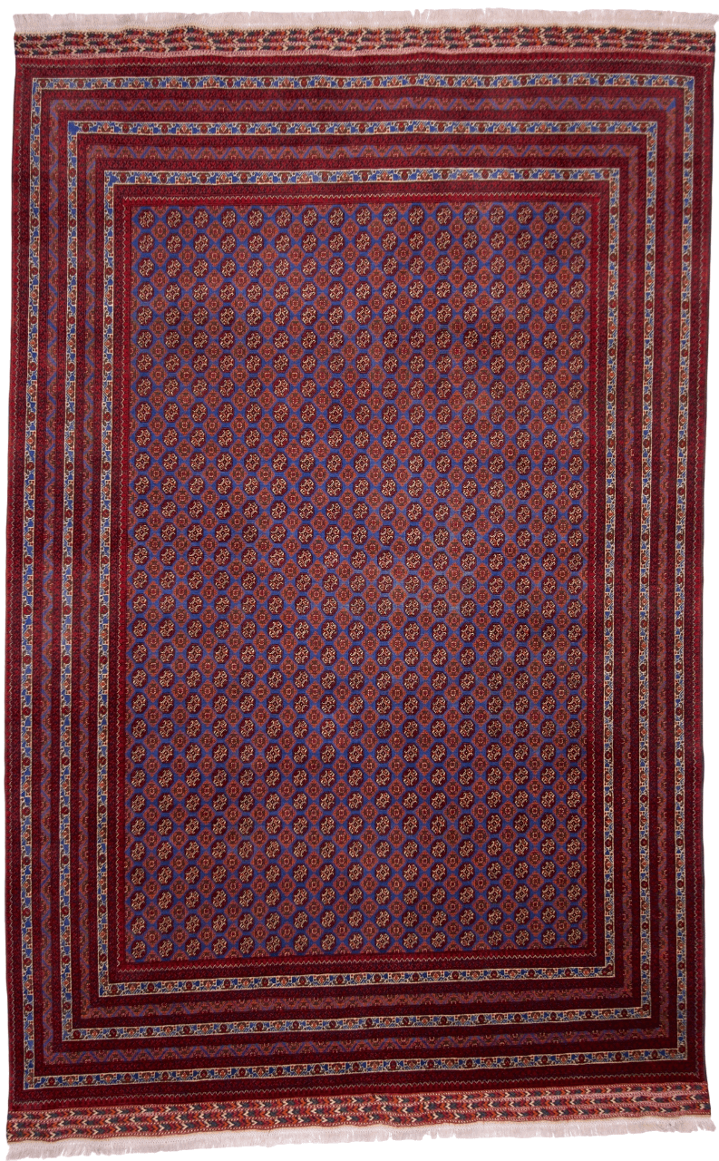 Balouch-Bokhara (6'06"x10'05") blue/dk.red - Nuvé