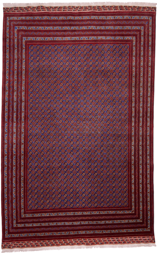 Balouch-Bokhara (6'06"x10'05") blue/dk.red - Nuvé