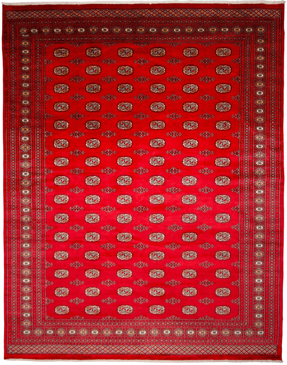 Salor Bokhara (9'02"x11'09") deep red - Nuvé