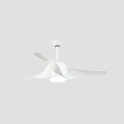 Vintage Akash Ceiling Fan Light