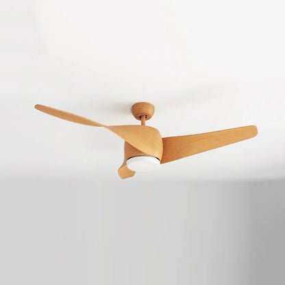 Vintage Akash Ceiling Fan Light