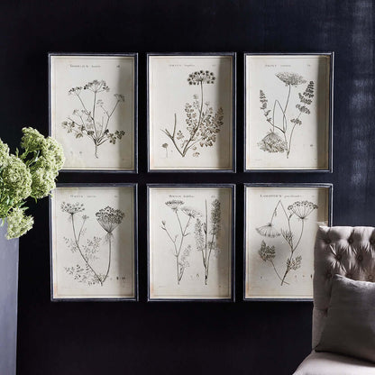 Vintage Monochromatic Botanical Wildflower Wall Art (Set of 6) - Nuvé