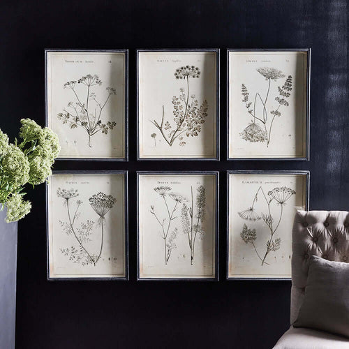 Vintage Monochromatic Botanical Wildflower Wall Art (Set of 6) - Nuvé