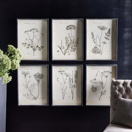 Vintage Monochromatic Botanical Wildflower Wall Art (Set of 6) - Nuvé
