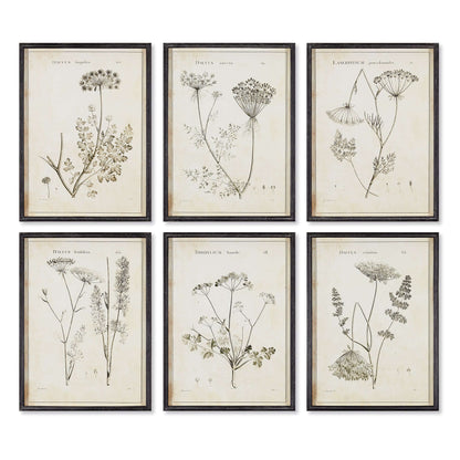 Vintage Monochromatic Botanical Wildflower Wall Art (Set of 6) - Nuvé
