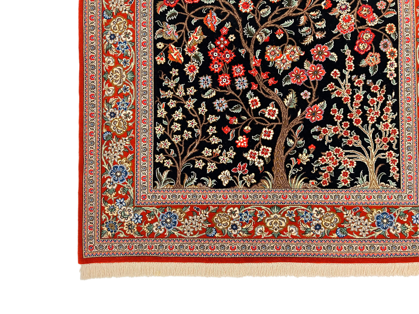 Persian Qom w. silk Tree of Life (4'05"x6'06") black/red - Nuvé