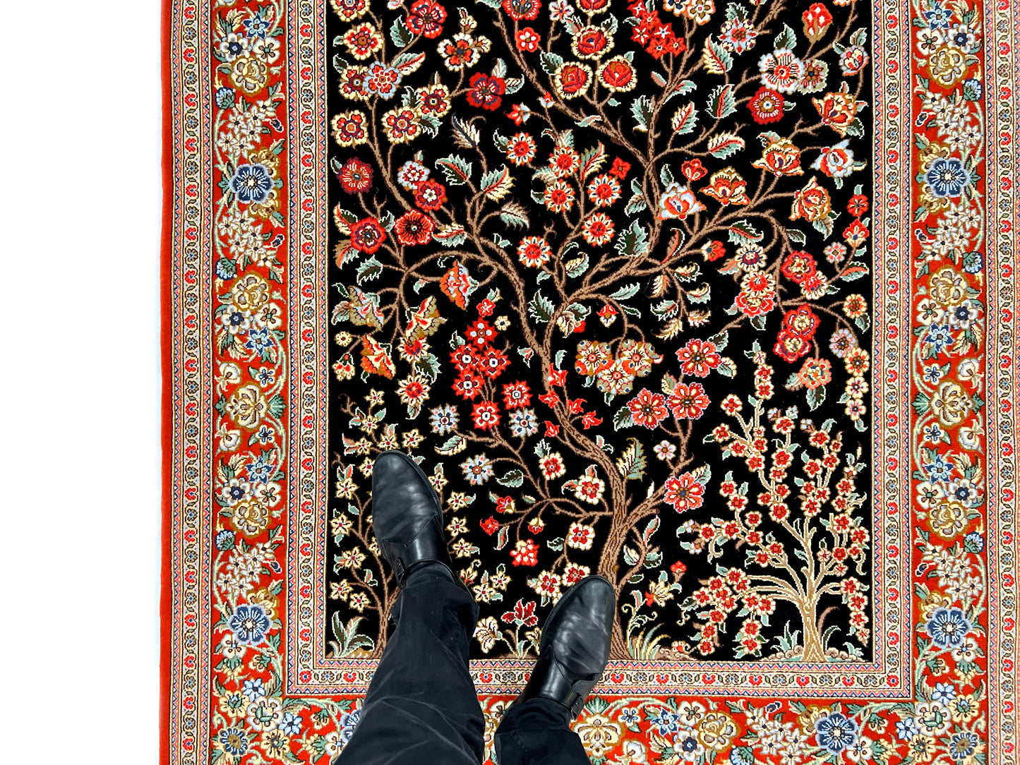 Persian Qom w. silk Tree of Life (4'05"x6'06") black/red - Nuvé