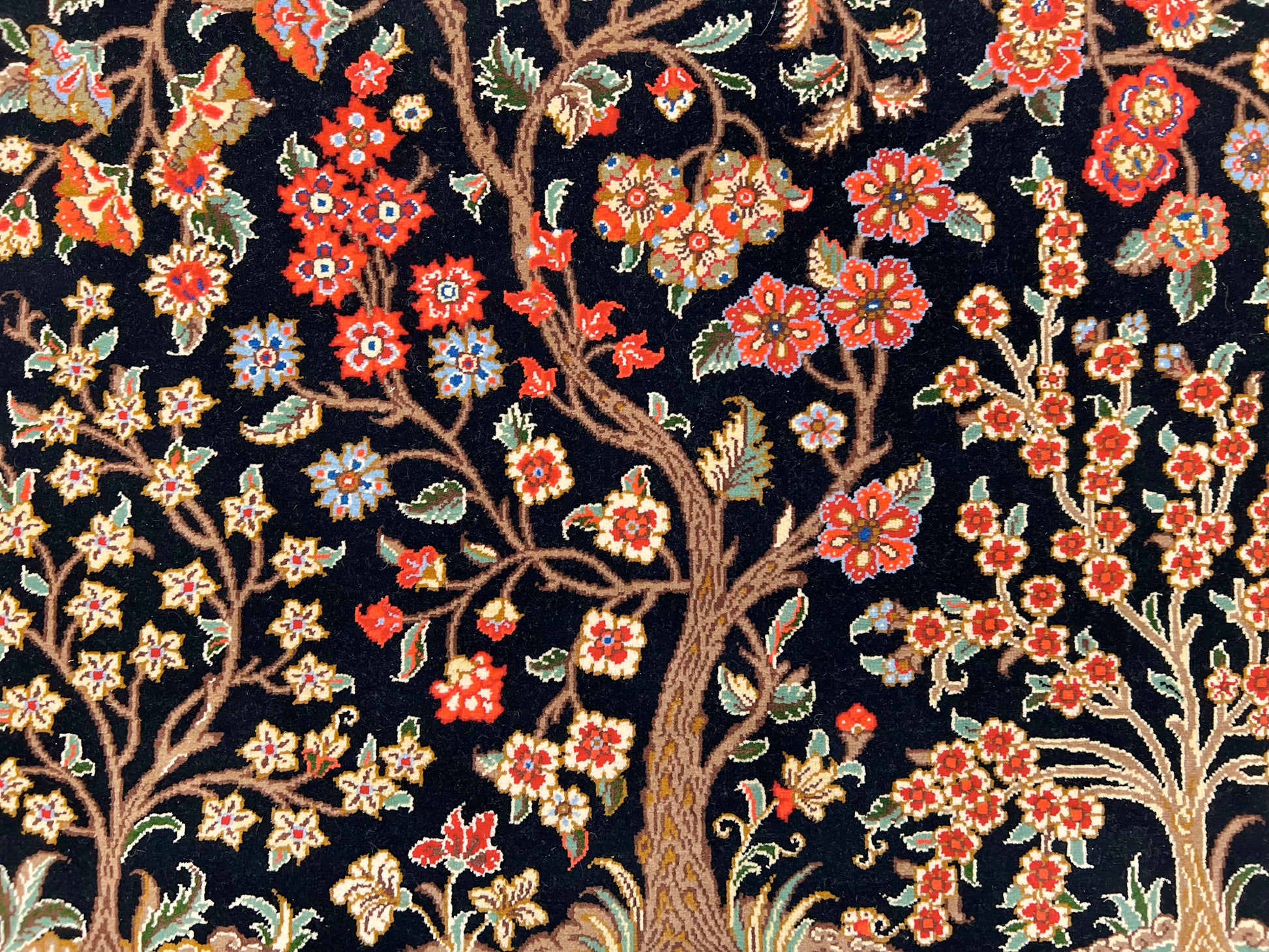 Persian Qom w. silk Tree of Life (4'05"x6'06") black/red - Nuvé