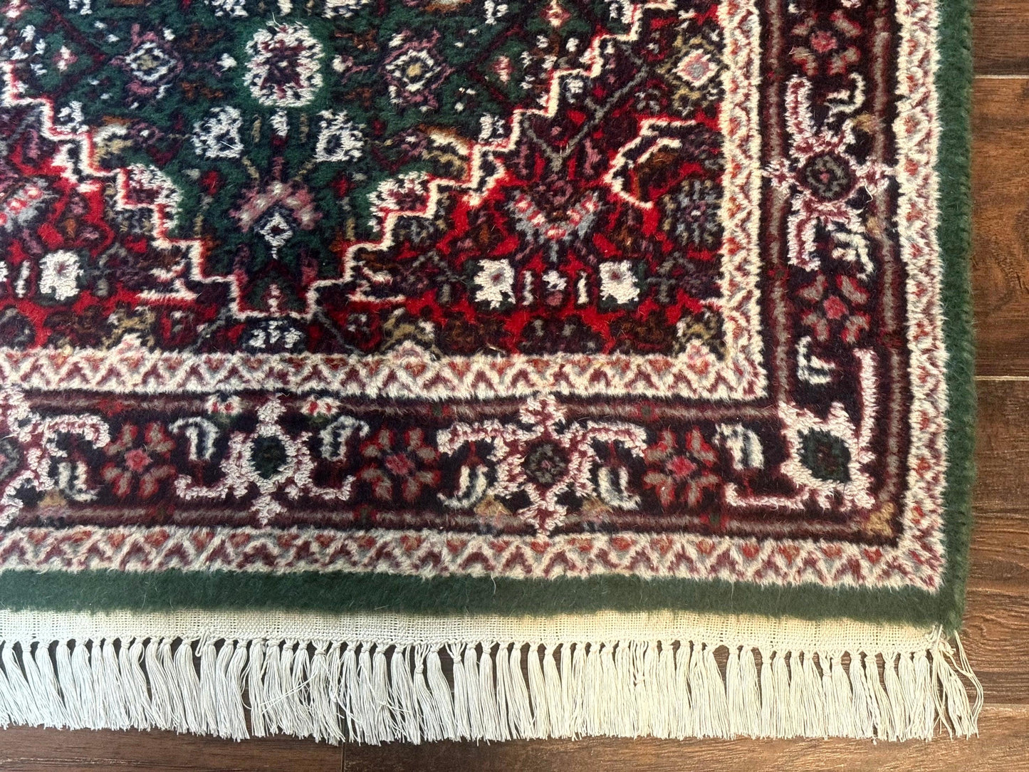 Green Indo Persian Bidjar Runner Rug 3x10, Green and Red - Nuvé