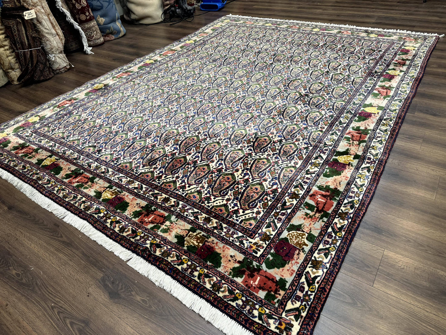 Persian Rug 8x11, Boteh Design, Repeated Paisleys, Persian Kurdish Rug, Bird Pictorials, Rare Antique Persian Kurdish Sannadaji Carpet - Nuvé