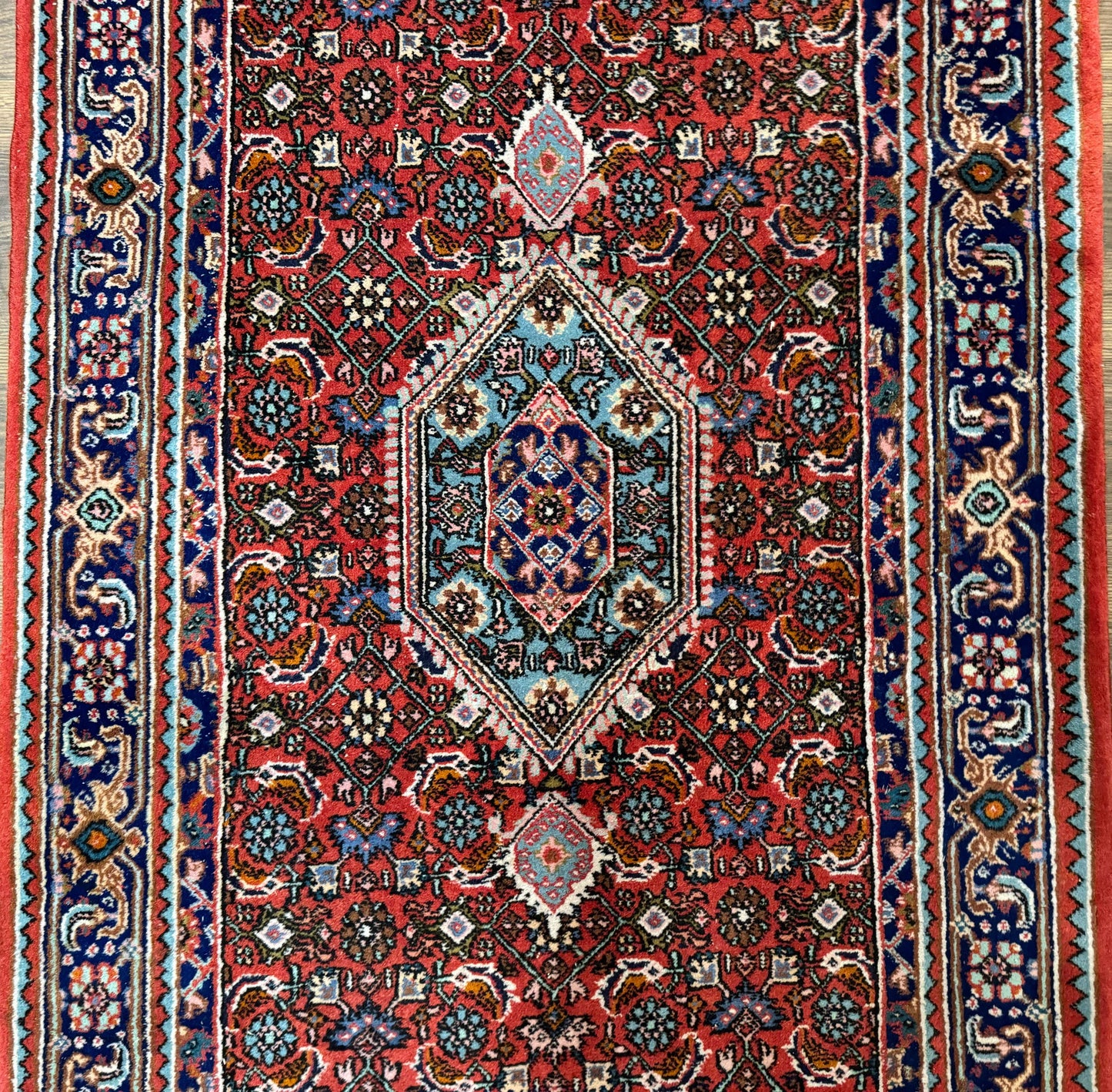 Indo Persian Bidjar Runner Rug 3 x 18.6, Red Navy Blue, Long Runner, Wool Oriental Carpet - Nuvé
