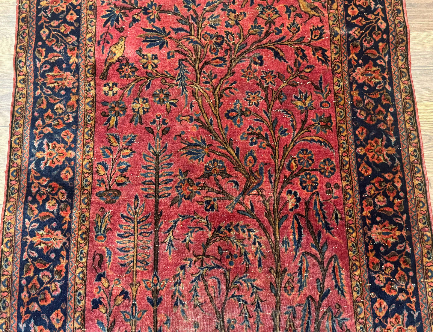 Antique Persian Tree of Life Rug 3x5, Manchester Wool, Bird Pictorials, Fine 240 KPSI, Red Navy Blue - Nuvé