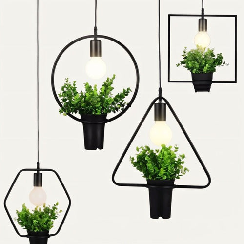 Alzahra Pendant Light - Nuvé
