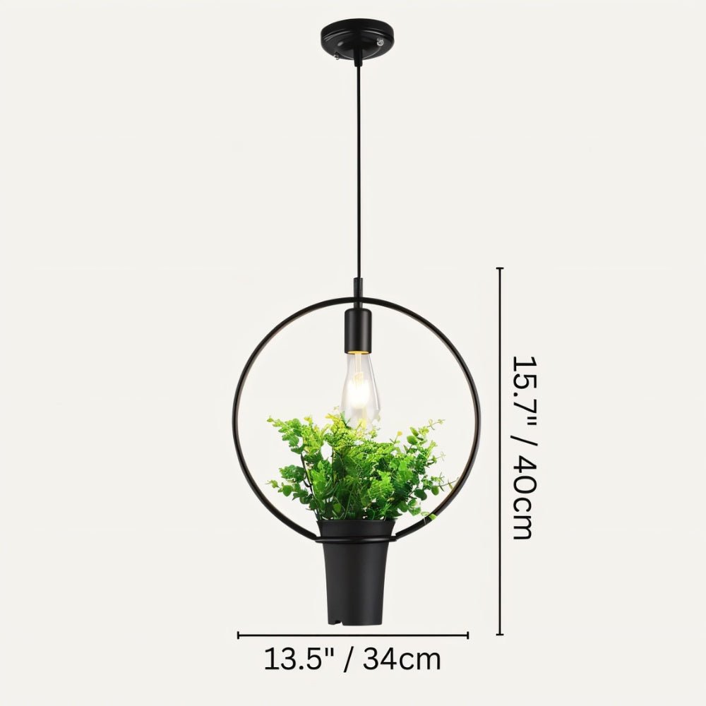 Alzahra Pendant Light - Nuvé