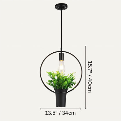 Alzahra Pendant Light - Nuvé