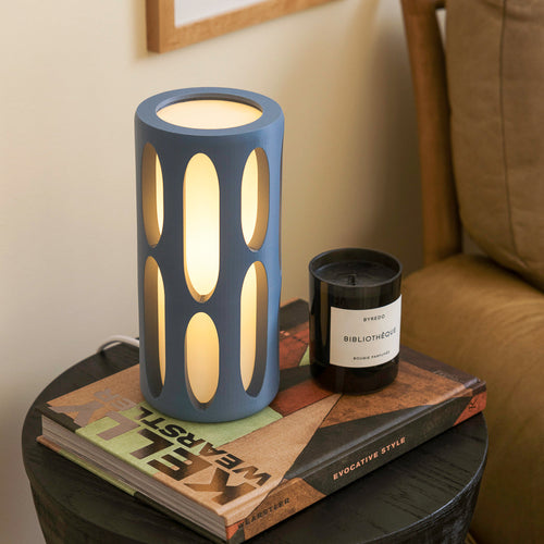 Terra Labs Amoeba Table Lamp with organic, amoeba-shaped design and frosted glass shade for modern home lighting.