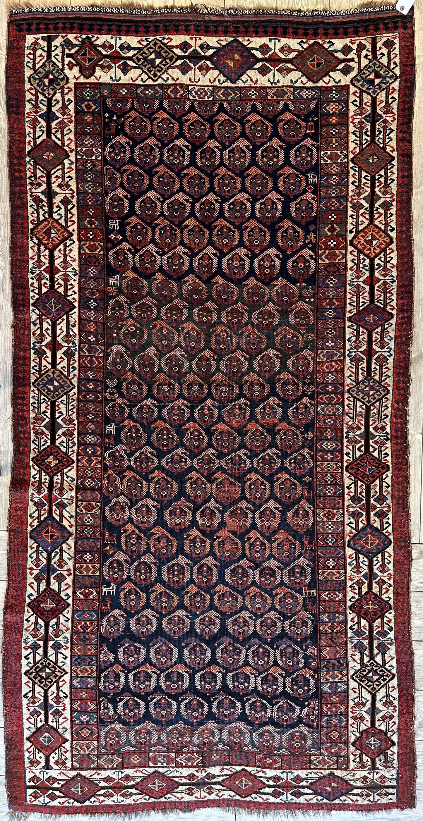 Antique All Over Paisley Kurdish Afshar Rug 4’5” x 8’11” - Nuvé