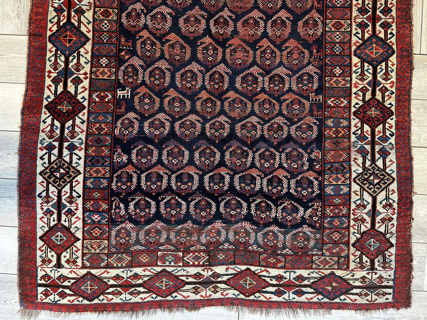 Antique All Over Paisley Kurdish Afshar Rug 4’5” x 8’11” - Nuvé