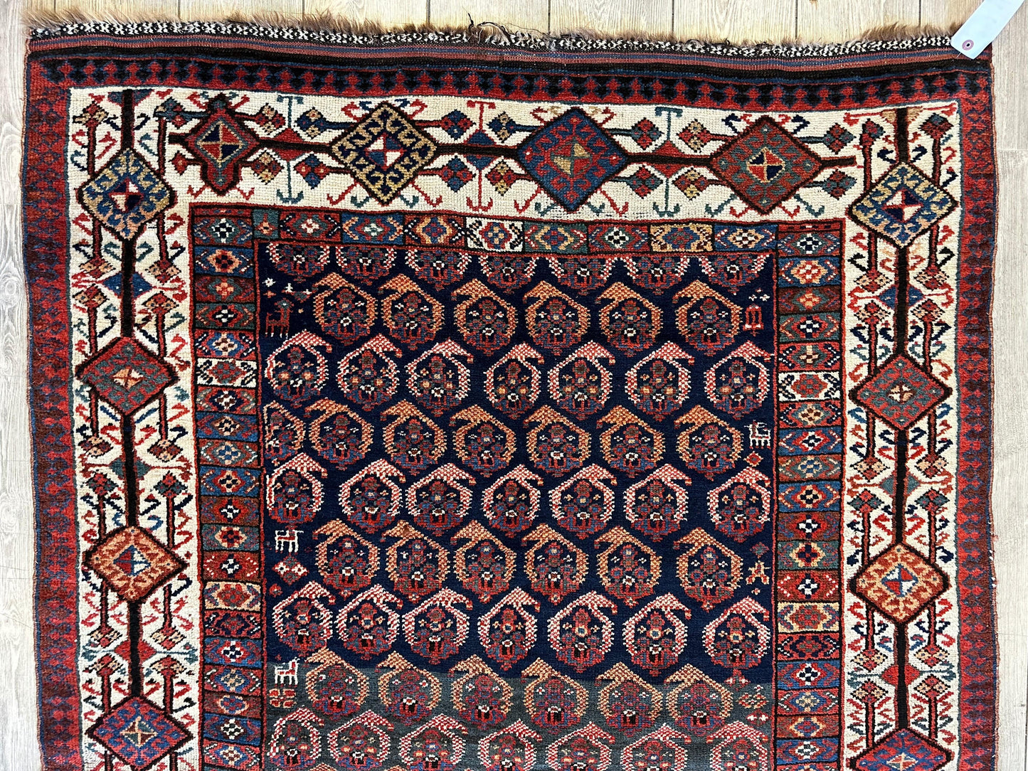 Antique All Over Paisley Kurdish Afshar Rug 4’5” x 8’11” - Nuvé