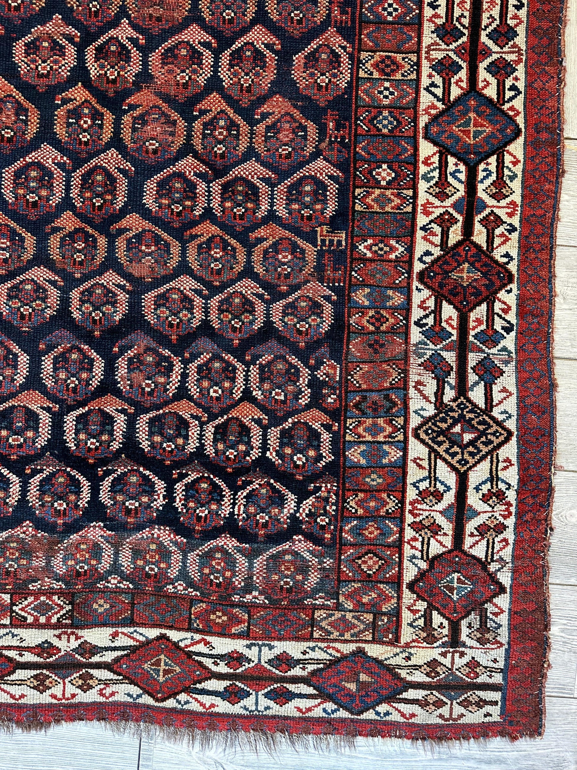 Antique All Over Paisley Kurdish Afshar Rug 4’5” x 8’11” - Nuvé