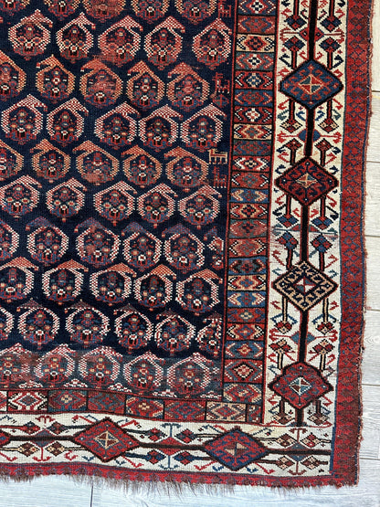 Antique All Over Paisley Kurdish Afshar Rug 4’5” x 8’11” - Nuvé