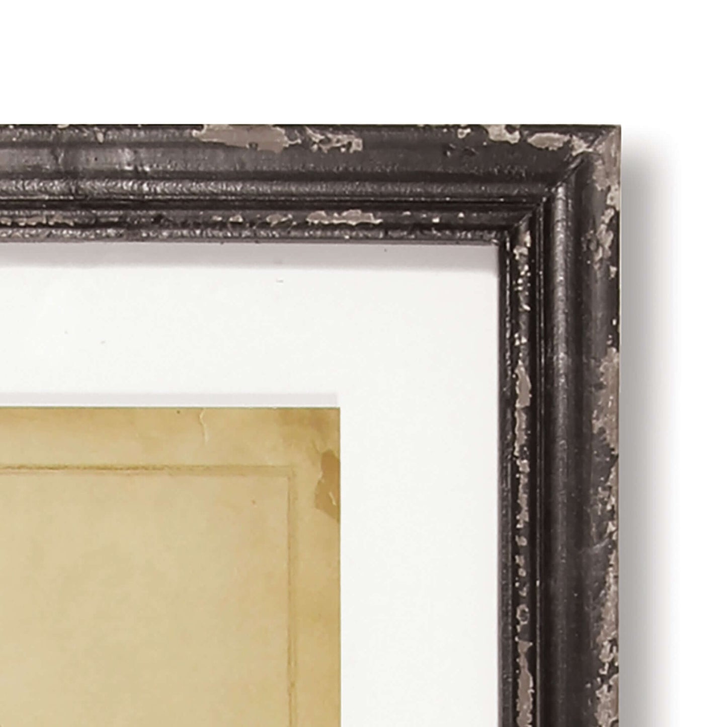 Antique Framed Botanical Fern Prints (Set of 8) - Nuvé