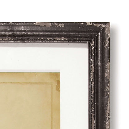 Antique Framed Botanical Fern Prints (Set of 8) - Nuvé