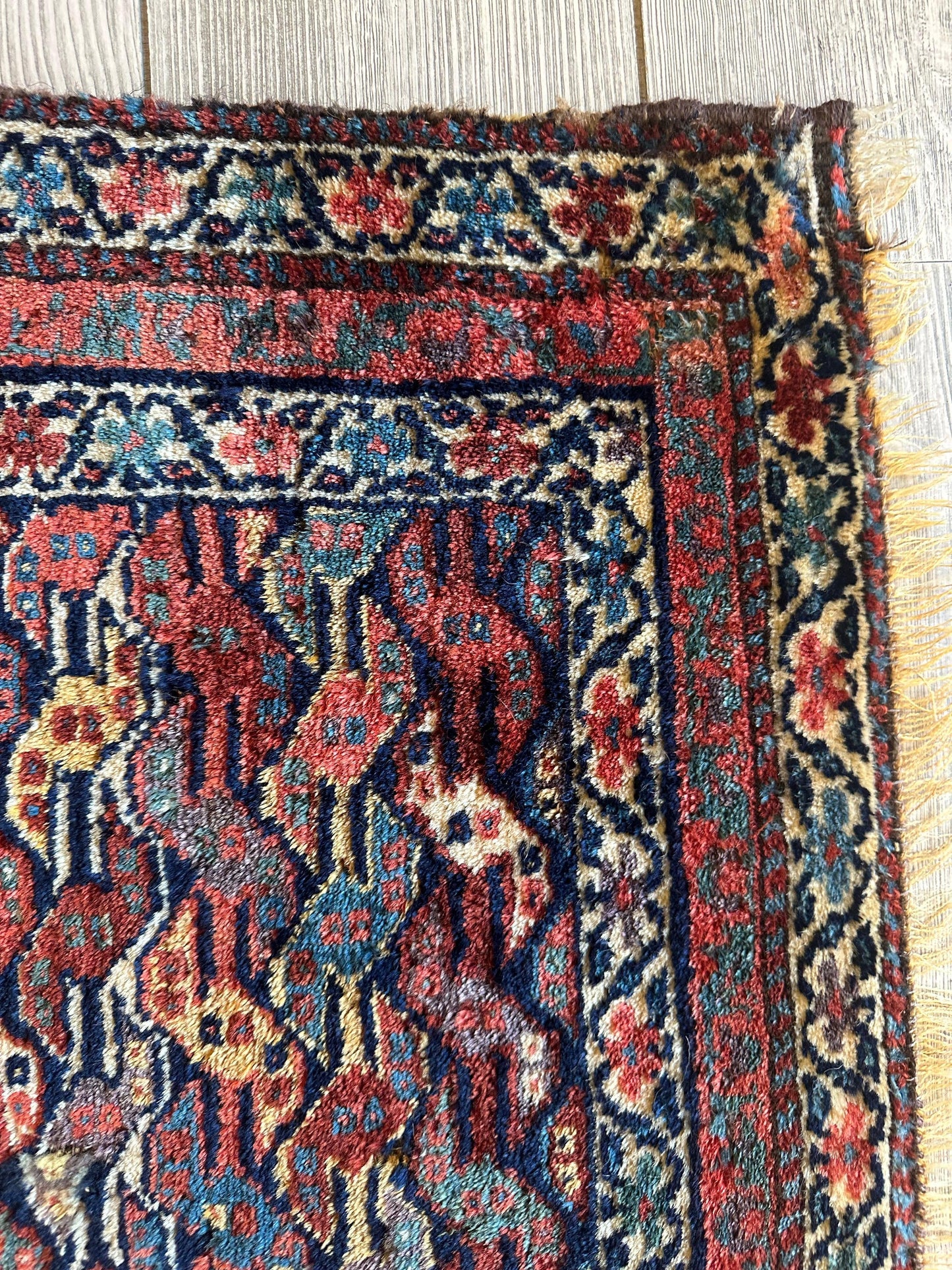 Antique Natural Dyes Small Kurdish Square Decorative Hanging Rug - 22" X 24" - Nuvé