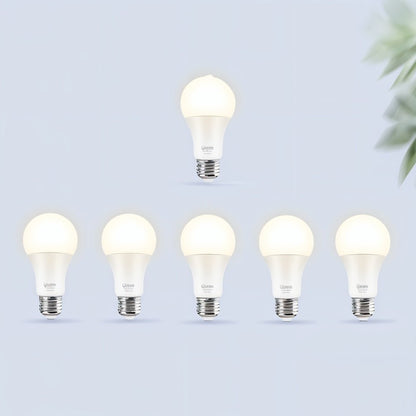 Arinya Ceiling Light - Nuvé
