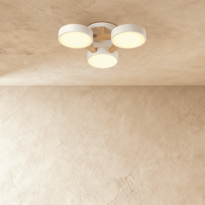 Ashane Ceiling Light - Nuvé