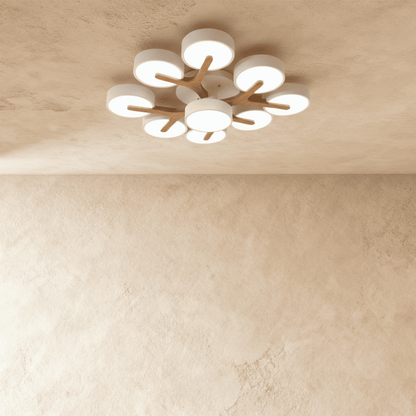 Ashane Ceiling Light - Nuvé