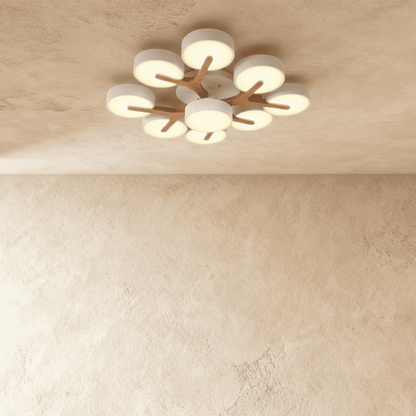Ashane Ceiling Light - Nuvé