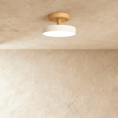 Ashane Ceiling Light - Nuvé
