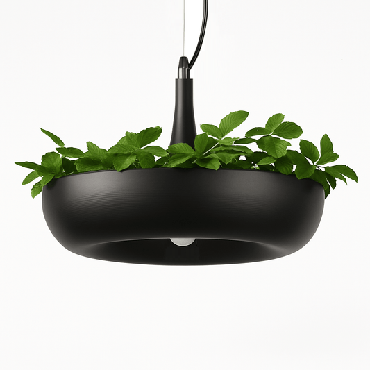 Aula Pendant Light - Nuvé
