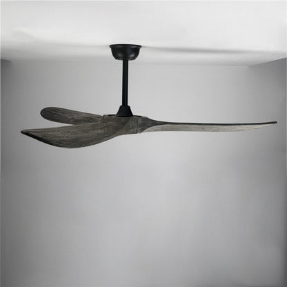 Auretta Ceiling Fan - Nuvé