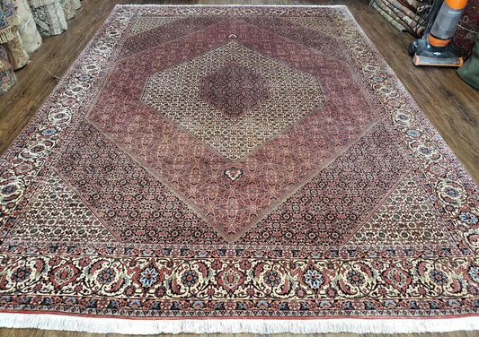 Persian Bijar Rug 8x11 - Herati Mahi Pattern - Nuvé