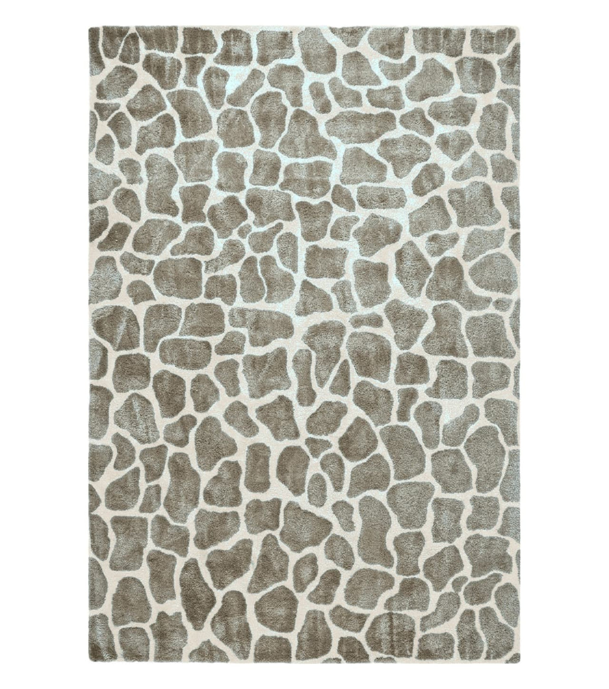 6x9 Safavieh Rug