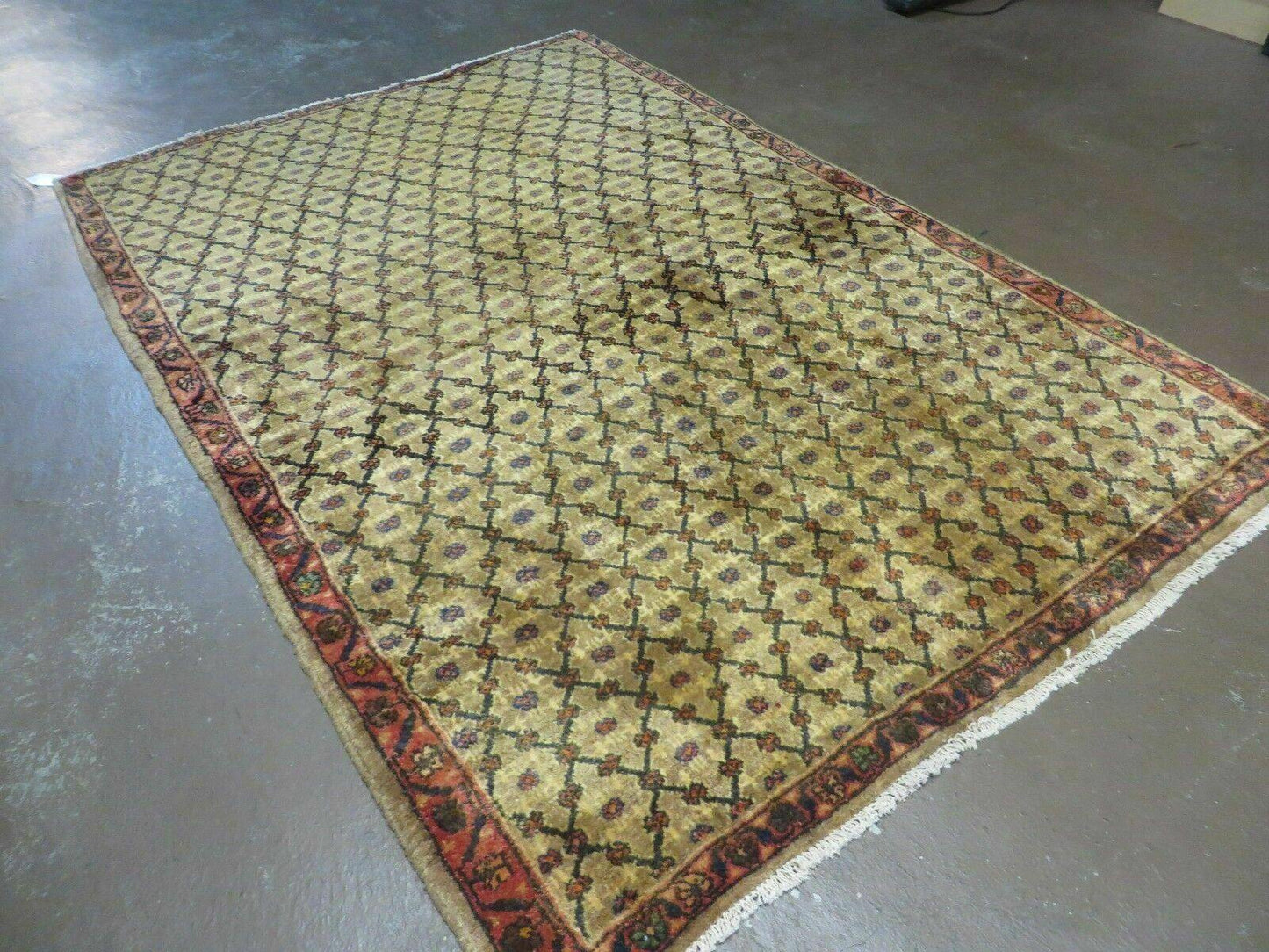 4' X 6' Handmade Indian Allover Wool Rug Camel Hair Color #119 - Nuvé