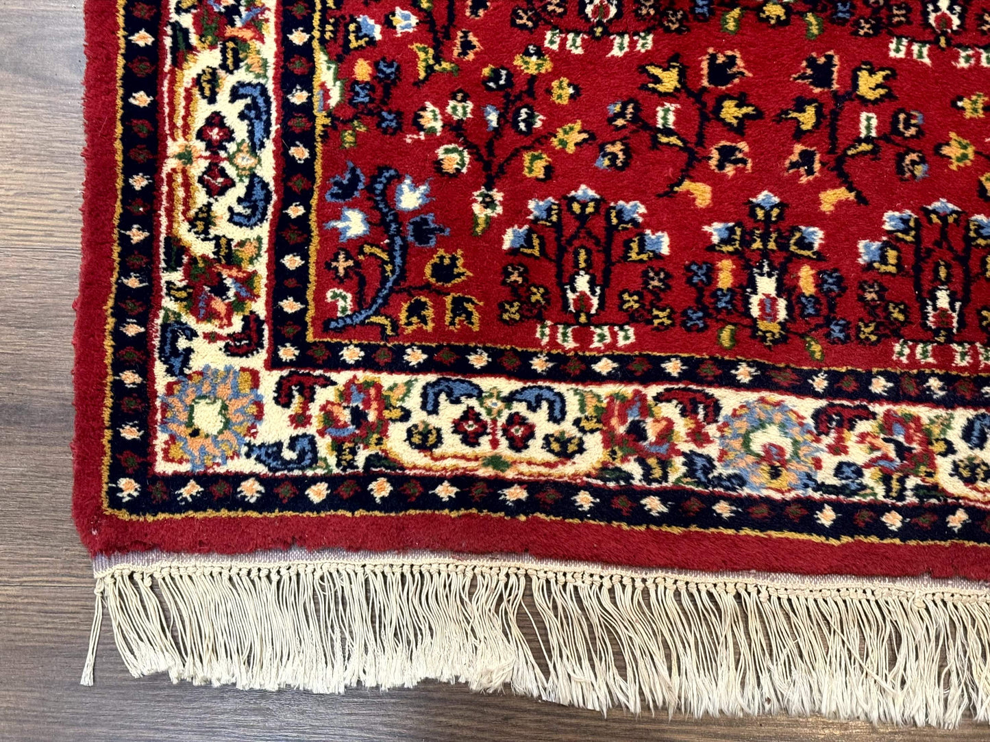 Indo Persian Sarouk Runner Rug 3 x 12, Red and Cream, Allover Pattern, 12ft Runner, Hand Knotted - Nuvé