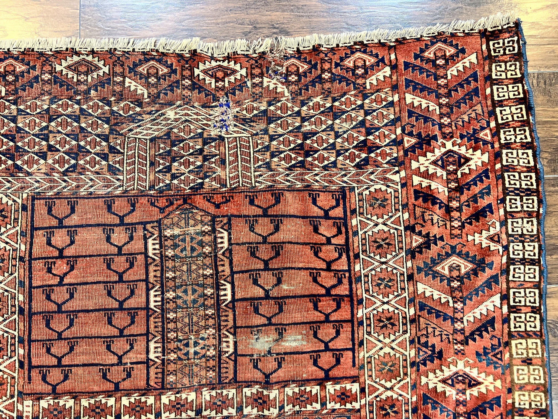 Antique Turkoman Rug 4x4, Hatchli Square Carpet, Wool Handmade Four Season Yamud Design Rug, Red Bohemian Tribal Rug, Engsi Tekkeh Rug - Nuvé