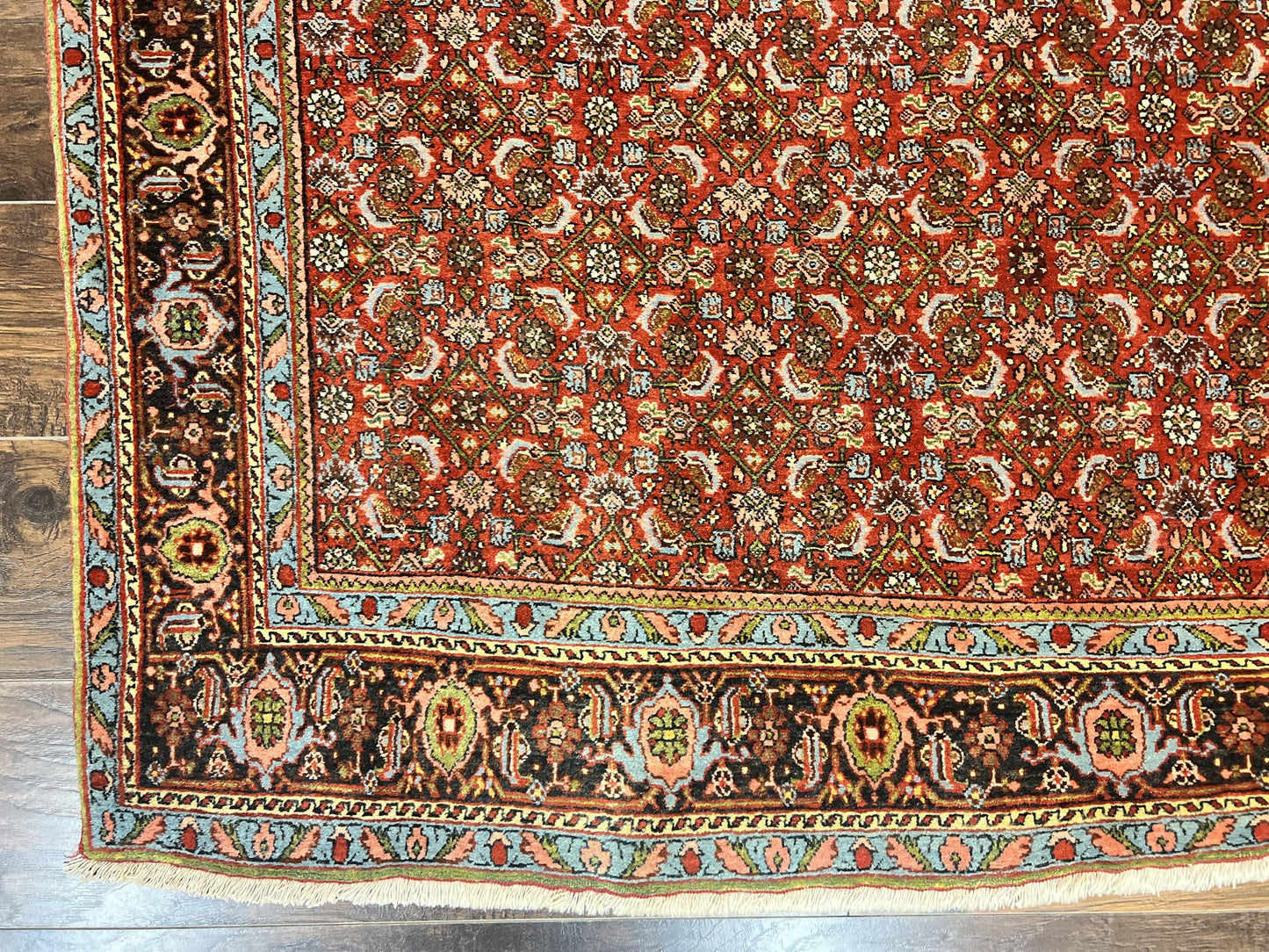 Antique Persian Bidjar Rug 5x7, Repeated Allover Herati Pattern, Red, Handmade Wool Carpet - Nuvé