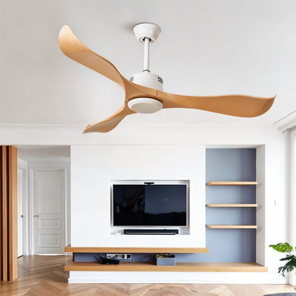 Caelus Ceiling Fan - Nuvé