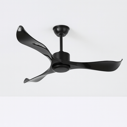 Caelus Ceiling Fan - Nuvé